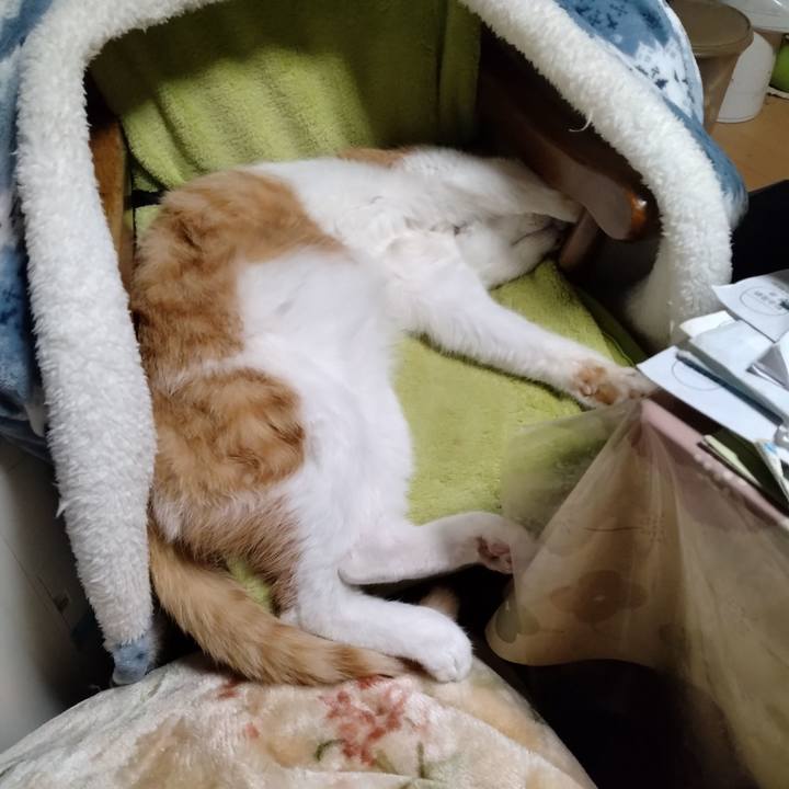 B54a6844 5232 4bb0 9717 72d76a373fe4 1737187961493