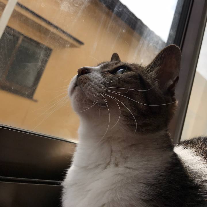 B54a9f46 0a7e 4ca1 ba90 61bbf9fab868 1508547274830