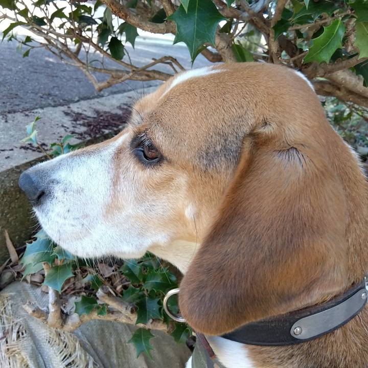 B54aa44d bf08 40b7 8076 381032029cbb 1697351929253