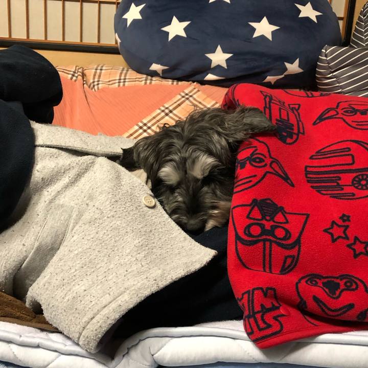 B54ab122 a980 448b 8e10 66eccc2f2d15 1669120524270