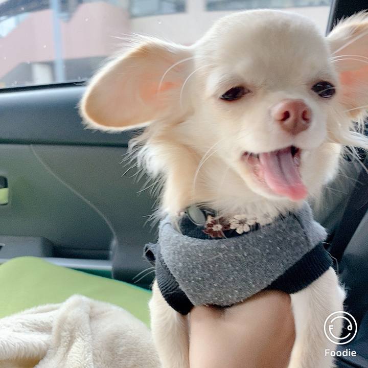 B54aeb34 8d0e 4974 990f 9c8ee3c51101 1604370701461