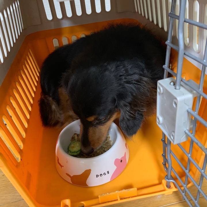 B54afbe8 1390 4b3f acc3 73e0f6c66828 1570140655726