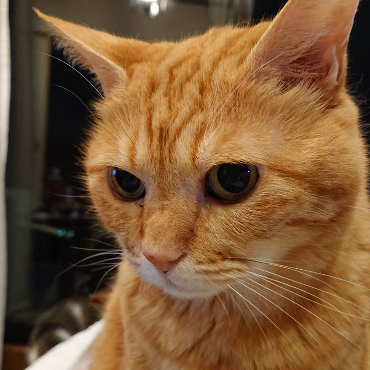 B54b2843 8c7d 4201 9d8a b9322cac168a 1569549388205