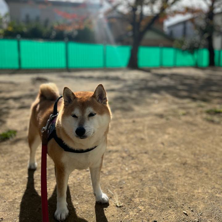 B54b5bb6 e903 40ce 905f 9d4a37b29efc 1700880261354