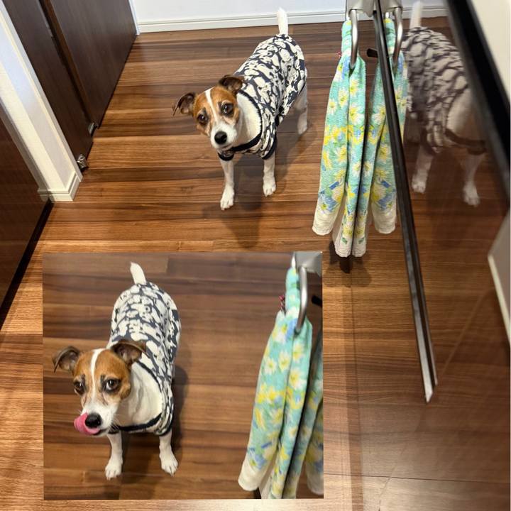 B54b6d3c 3329 4c5b 8ce8 a8764afa1472 1767840632047