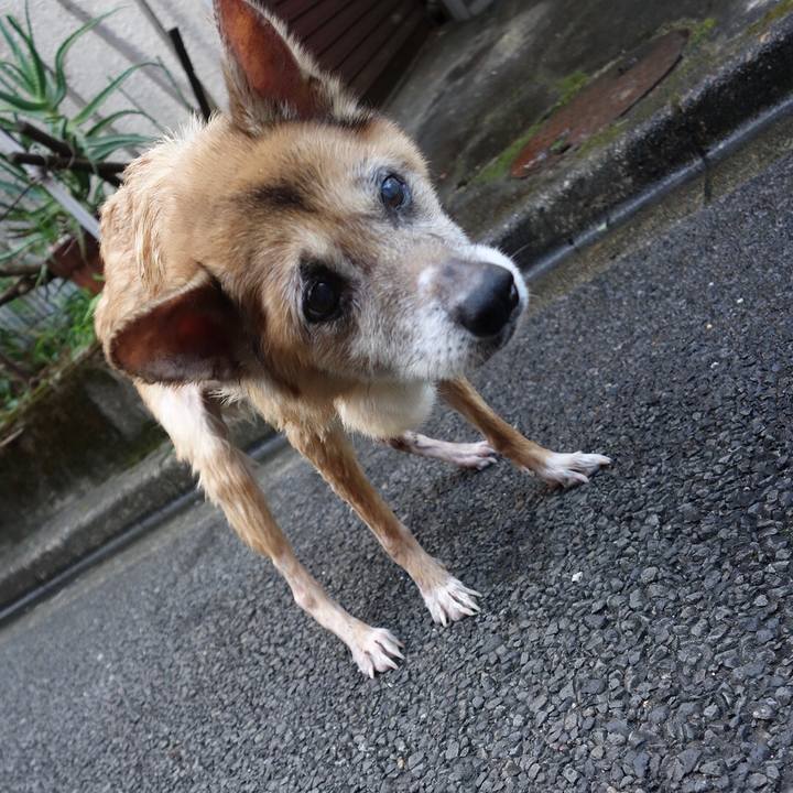 B54b781f 6c3a 432f a33f 8d80a0e1334d 1568070473480