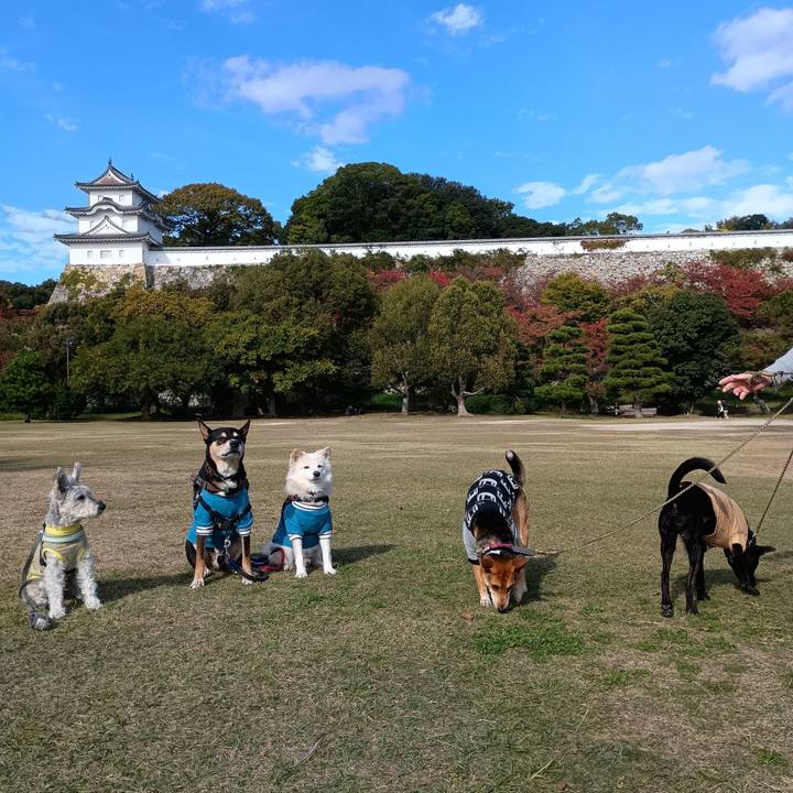 B54bab19 a40f 4a94 bccb 90027da198e0 1762868405091