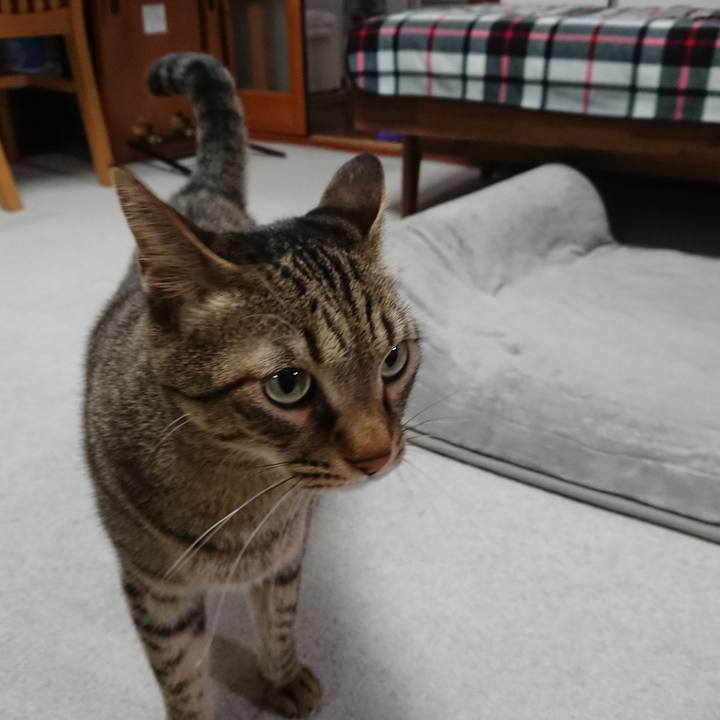 B54bad96 7d37 4910 af00 eb1a1b7e119b 1603967294705