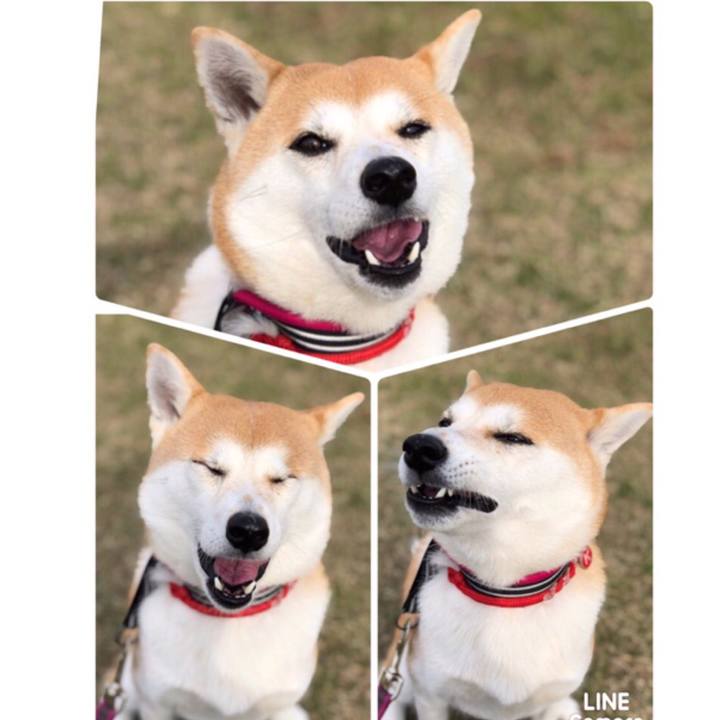 B54c0121 e8e1 48cb 8ac4 005fa097f225 1543280452284