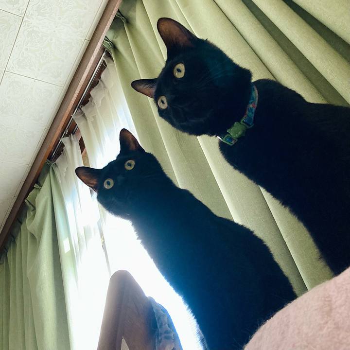 B54c187a eafb 4c5d be05 7a763bb79a8a 1659167999589