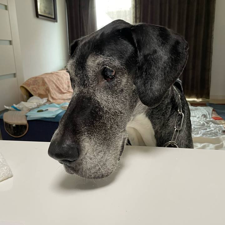 B54c6218 992d 48cf b108 29ad924db4b2 1657056882192