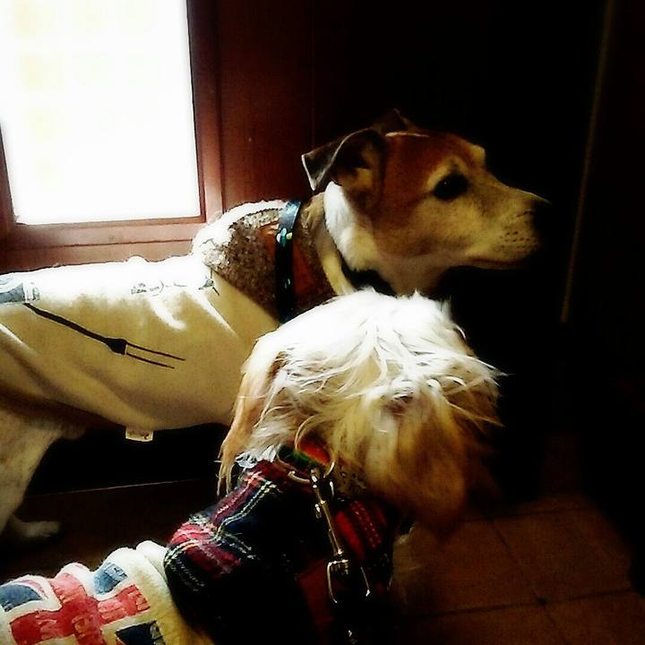 B54ca33a 612e 44be a90a 2560849d5335 1509857084120