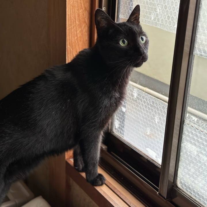 B54ca831 dcf9 4f02 84a2 38404c2681a9 1696728734052