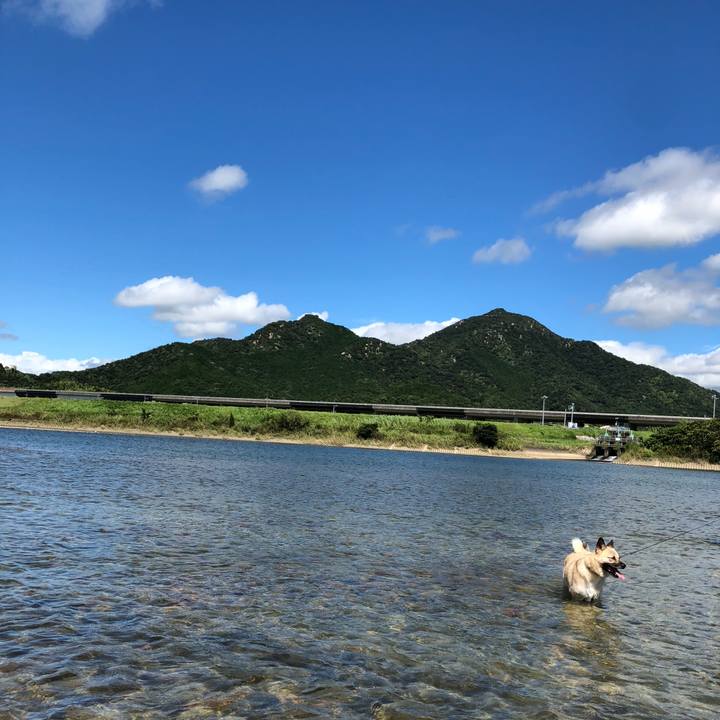 B54cbaf5 3c10 41f1 a9b8 c5249e4de4ec 1567941612602