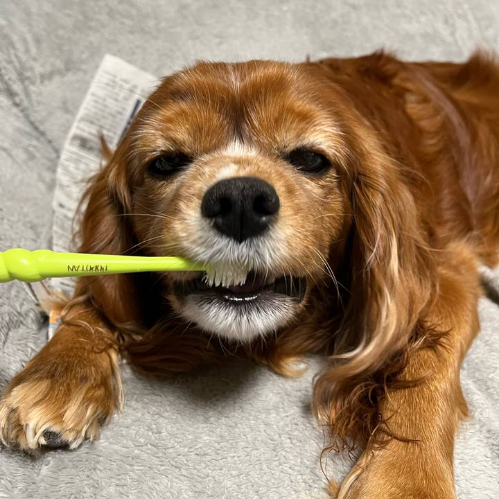 B54d079e 88ed 4fb2 973d 53a94720d1de 1704894593406