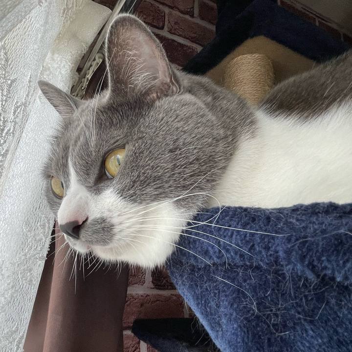 B54d161b 7f72 4b0c 9436 0ed14bdfd739 1662161420962