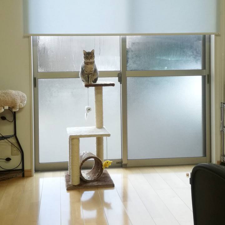 B54d65f5 b0ae 4331 b4f0 fdc683ebd487 1674190354750