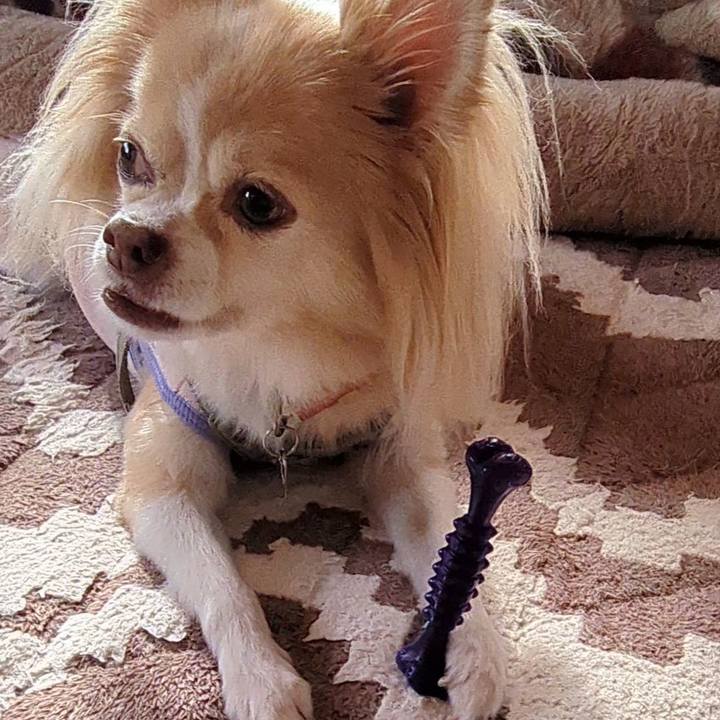 B54d97ab 8bbd 48b9 b735 4bfb5e631d08 1764128997427