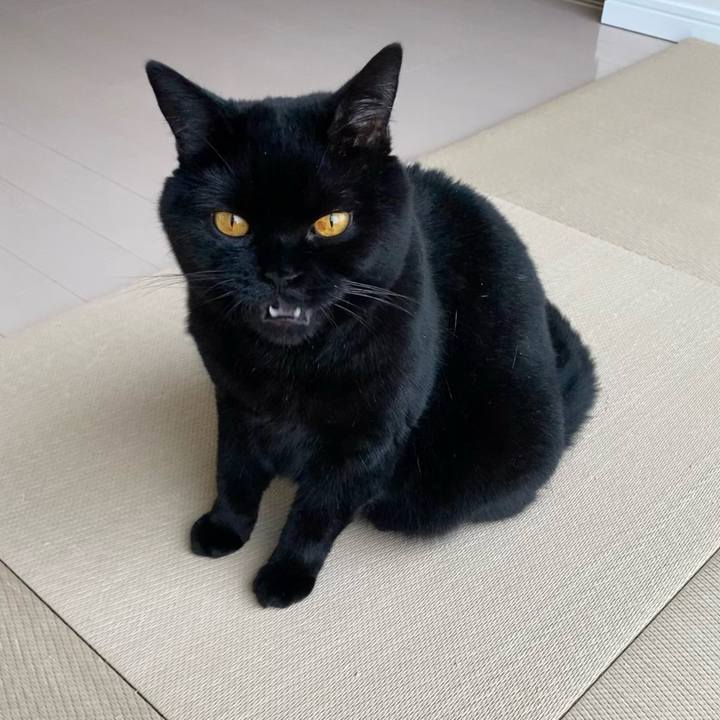 B54d9a3a 366f 4067 ba49 04a7bfae4b32 1632712279429