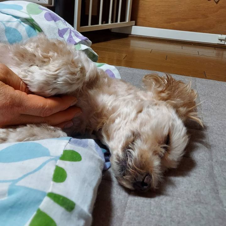 B54d9bf2 e87f 40cf 908c 6d43c0e39cb8 1666528311271