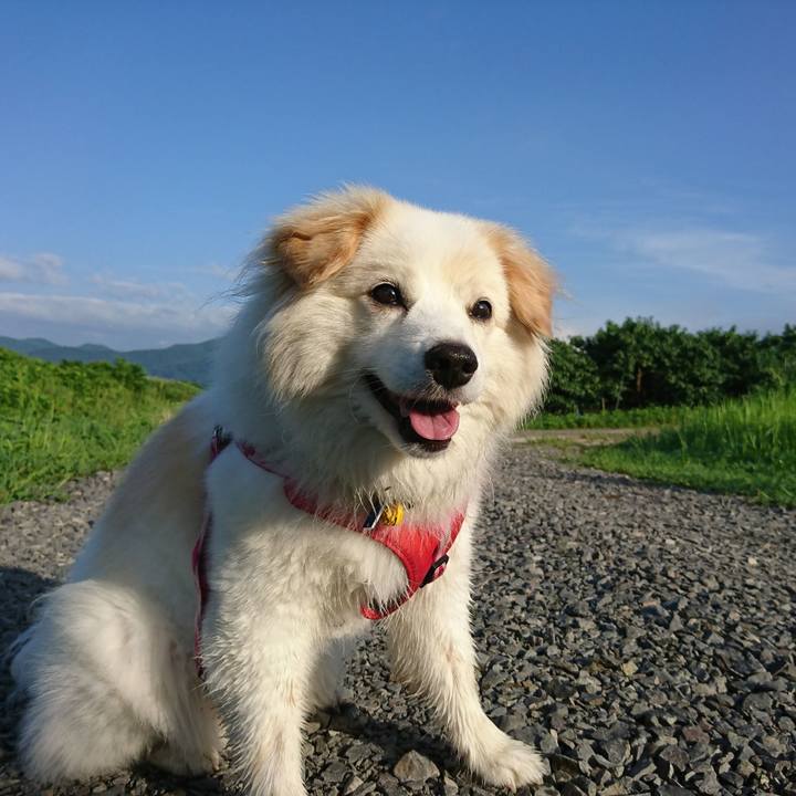 B54da1c3 5a04 4dbd beb5 3e6ce851eb42 1762547374170