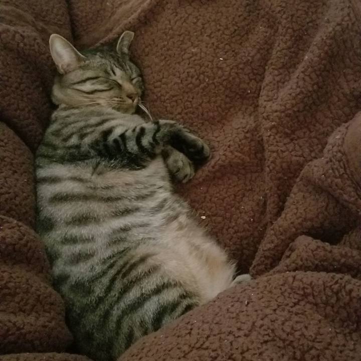 B54e0659 7a93 420b 86ea 07c8cd3474dc 1686055041093