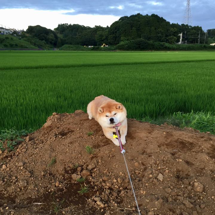 B54e11f6 a97b 4e8c b112 6257089ac3c5 1563079008407