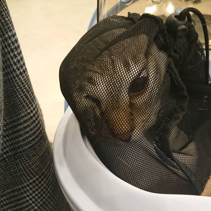 B54e1404 bdc1 4573 b630 74cba6e01996 1518781629542