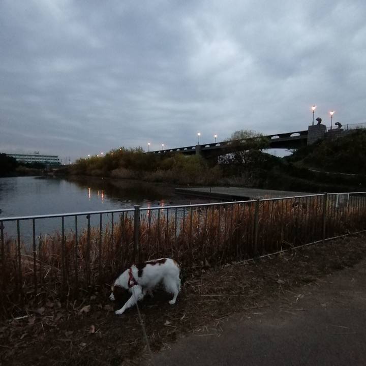 B54e265f 757c 4185 9e5c 545ece3dd888 1607902736883