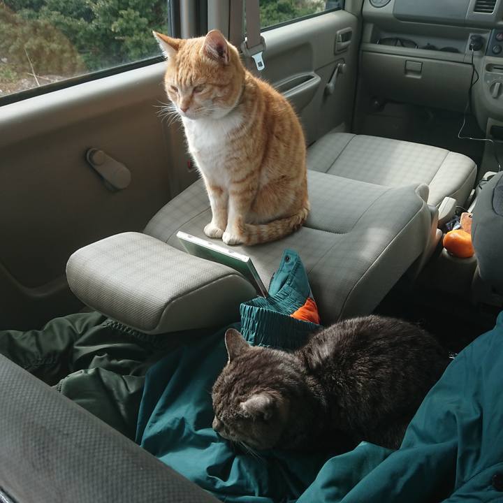 B54e343f eef8 4ef0 a534 ae723d1112c1 1583032669381