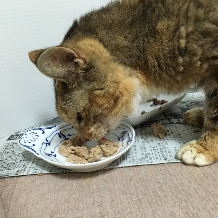 B54e38ca 28ca 430f 8995 0488ac8fb777 1580288213122