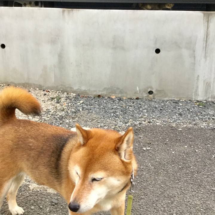 B54e5ad9 2e30 42e4 b3c9 f3eb8a7268cf 1611308042536