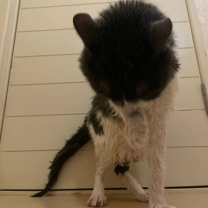 B54ebdd0 2332 4ab1 a0c1 8faca61cc321 1752381704260