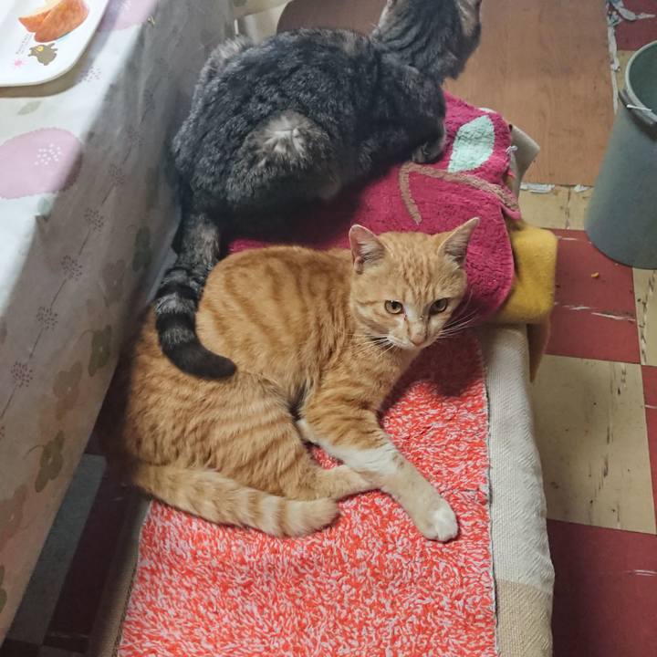 B54ed8c1 835f 43ab b3c9 1d641dd5d4bf 1555713300513