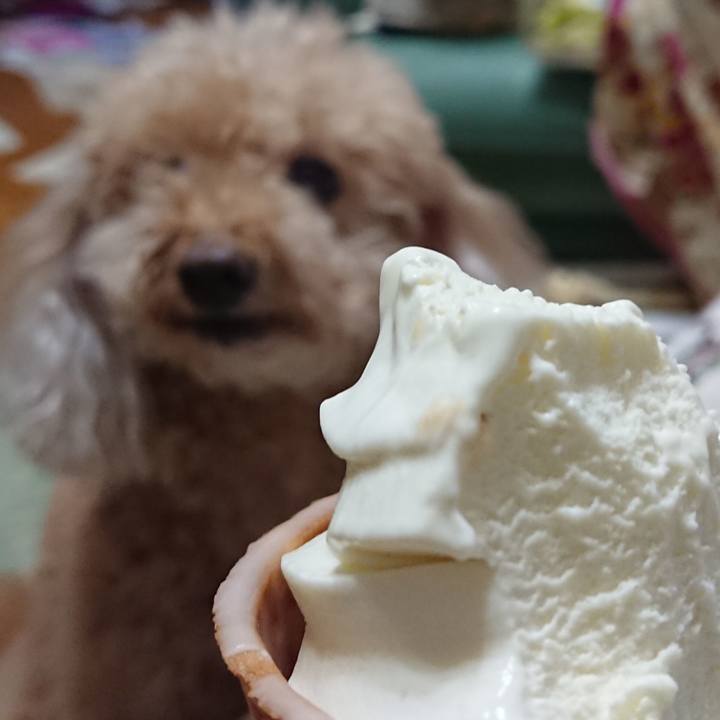 B54eec5e 4ff3 46bb 8a8e 5d7dcd66974d 1600076714766