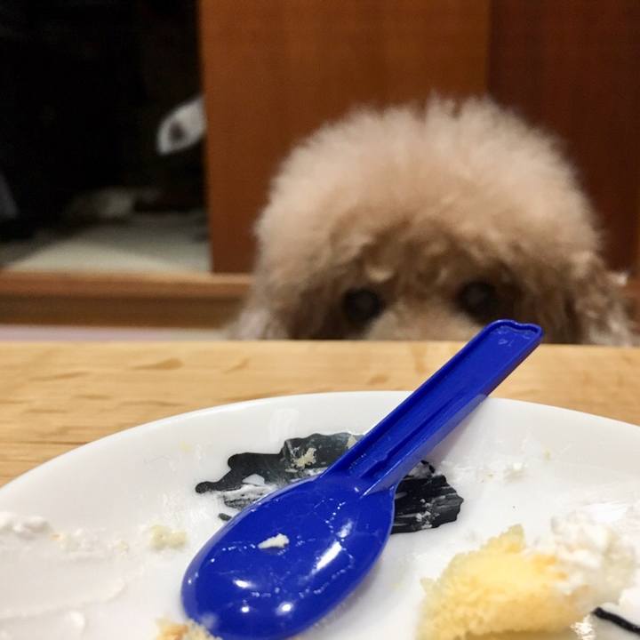 B54f4e1b bd1c 4c5e a8fb 45c20ba3d082 1557675387664