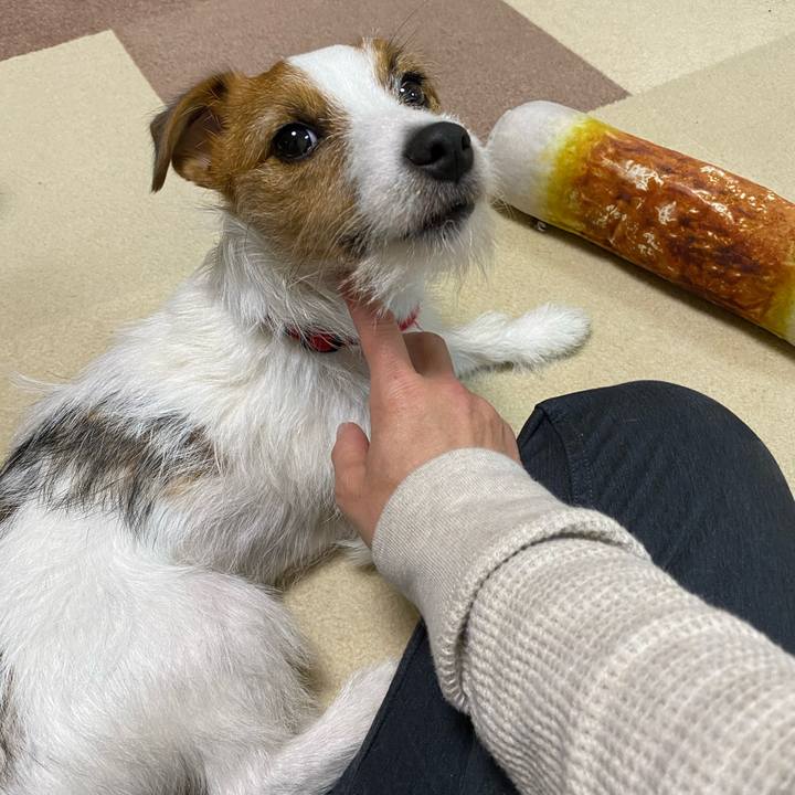 B54f5d49 0f2b 4669 8c03 3d8e35d891be 1638087156058