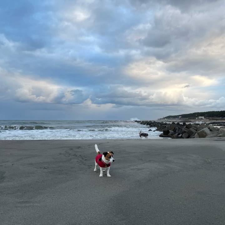 B54f702e 508b 422f 839f de26c7ec0795 1733700556531