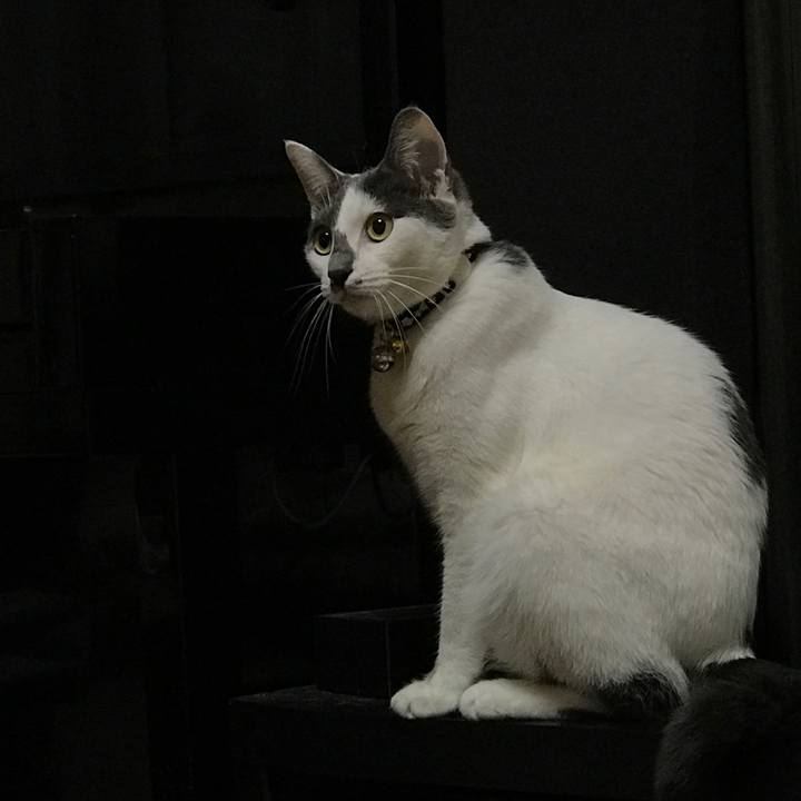 B54fbc26 b423 4d0e a5dd d78a7d34396f 1507894290043