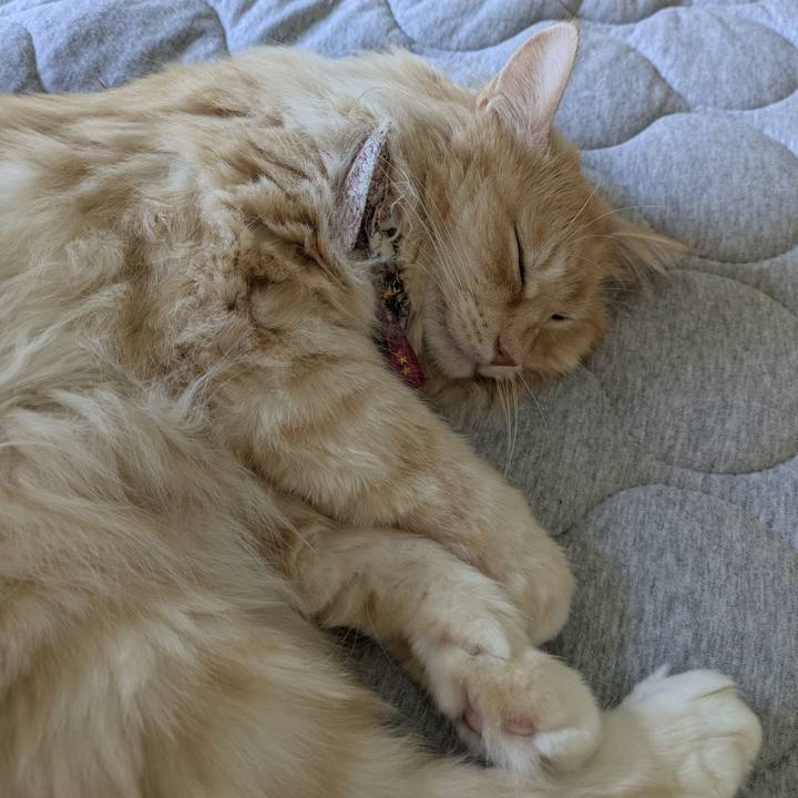 B54fe542 1710 4b21 a269 b4c873d468a4 1756690802125