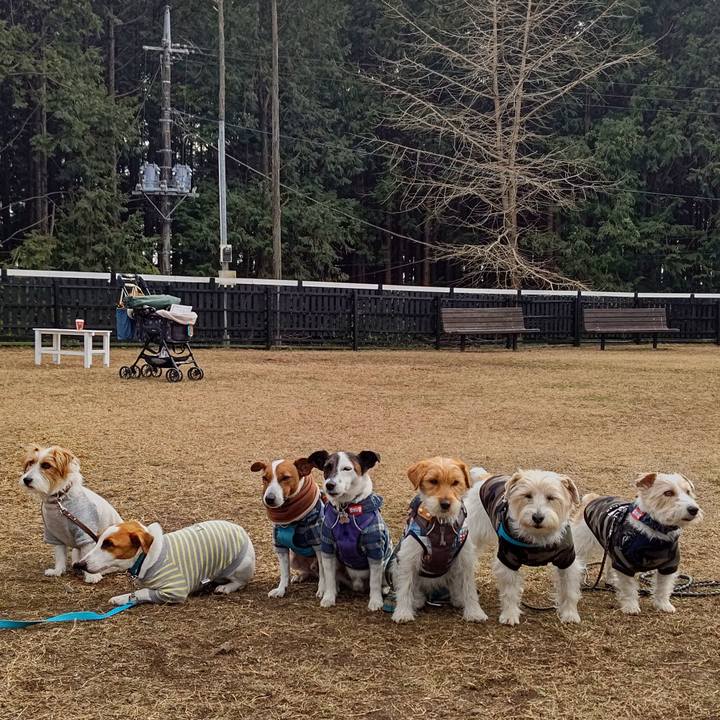 B54ff004 d56b 4df4 9f1a 0d3419136912 1676730936544