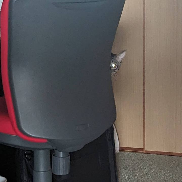 B5504777 b7d0 4121 918b 377fb4afb7d6 1707800623547