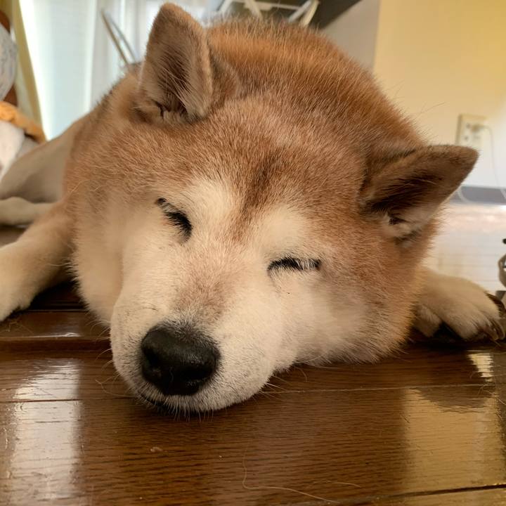 B5504cdf a98c 46dd 9cc3 fb162df86c37 1601190396067