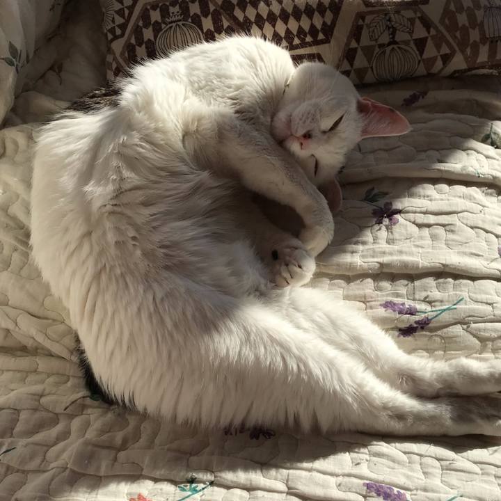 B5505eab f095 4257 98c7 fe04d3f4a069 1640161761623