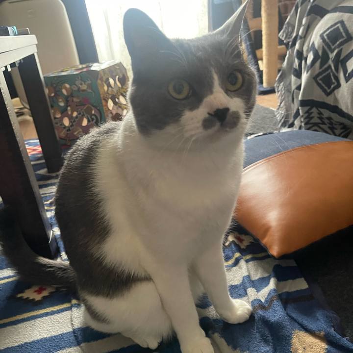 B5506d43 031c 4391 aeef 297e087102f0 1682817185571