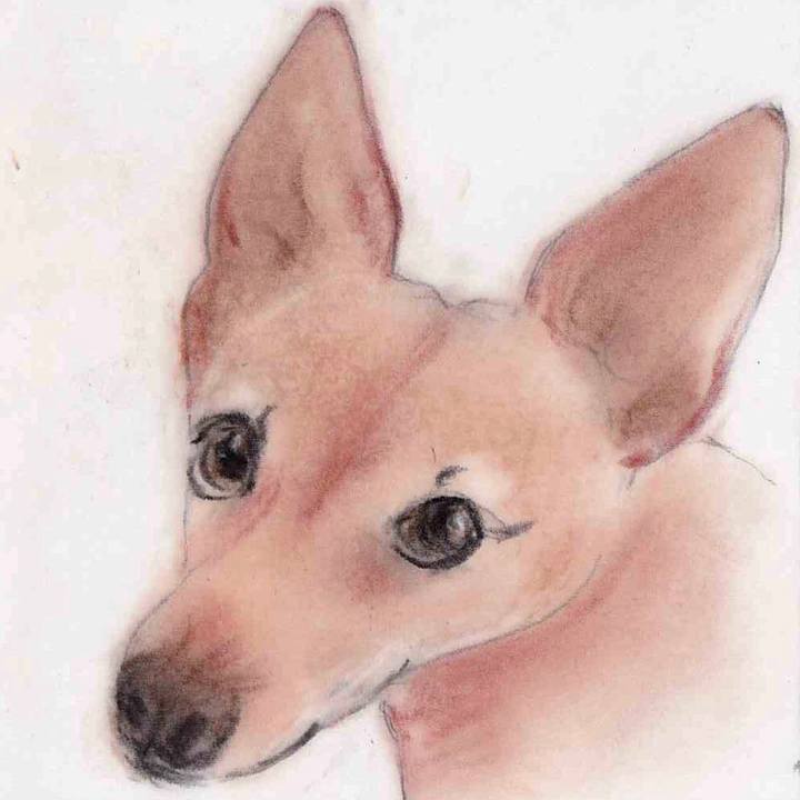 B5506fbf fa47 40d5 a2ae d1959283f443 1658242386710