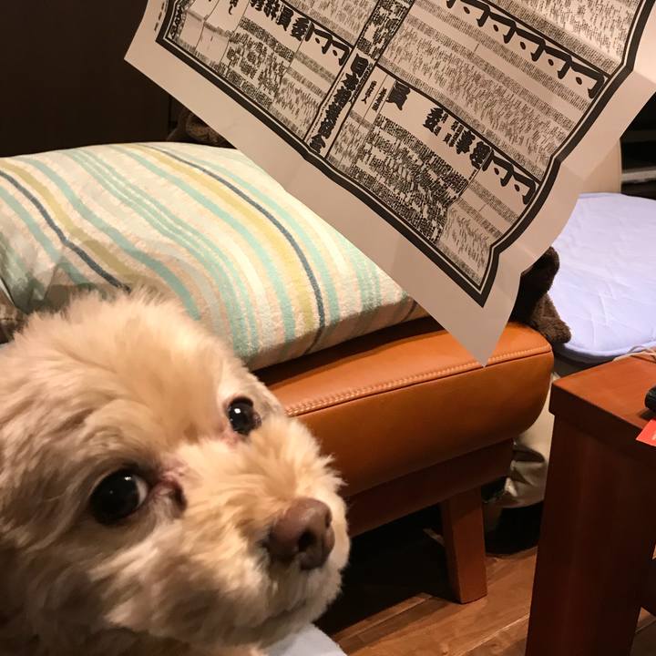 B55075d1 619f 45fd 8505 a1b1b0df5d34 1526204482531