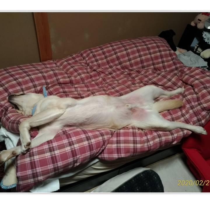 B55081cc ae05 4dc1 9664 156a99d5983a 1582638428319