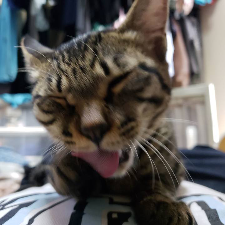 B5508558 1dc2 4e72 bc9a 561960b0ff95 1544940516557