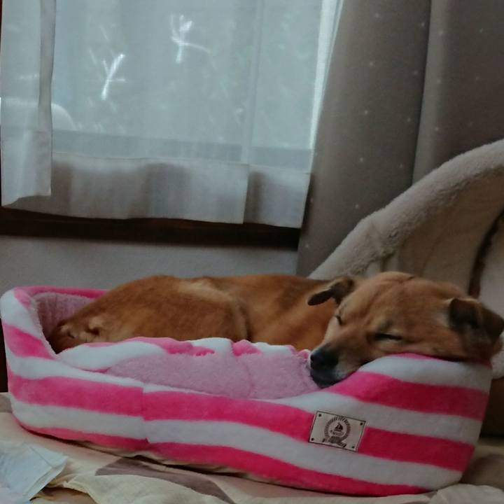 B5508cbf dde3 417b 81a5 c79d93eee1c3 1580894024534